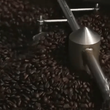 Freshly roasted Capito beans churning in the cooling tray