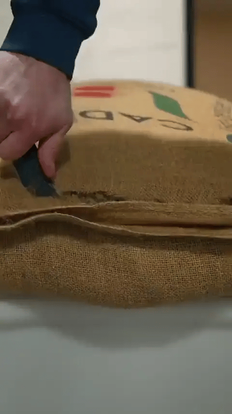 Green coffee beans pouring