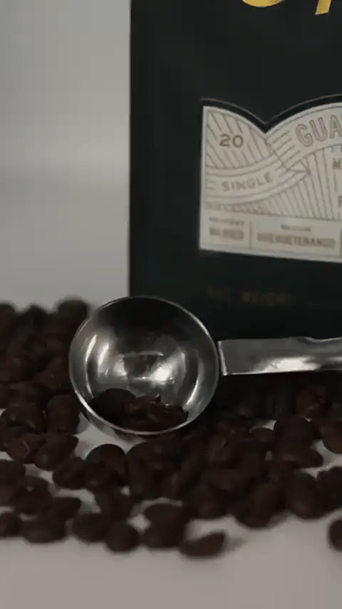A scoop of Capito beans and a fresh cup of black coffee